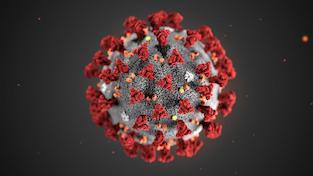coronavirus disinfecting toronto