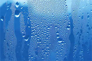 humidity causes mold