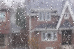 rainfall causes mold